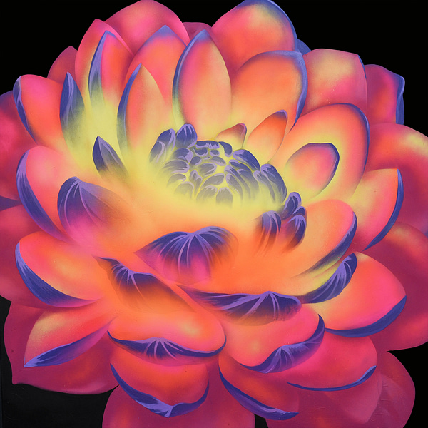 Pink and Yellow Dahlia Soul Flower - Image 2