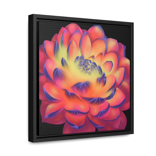 Pink and Yellow Dahlia Soul Flower Framed Canvas Print - Image 2